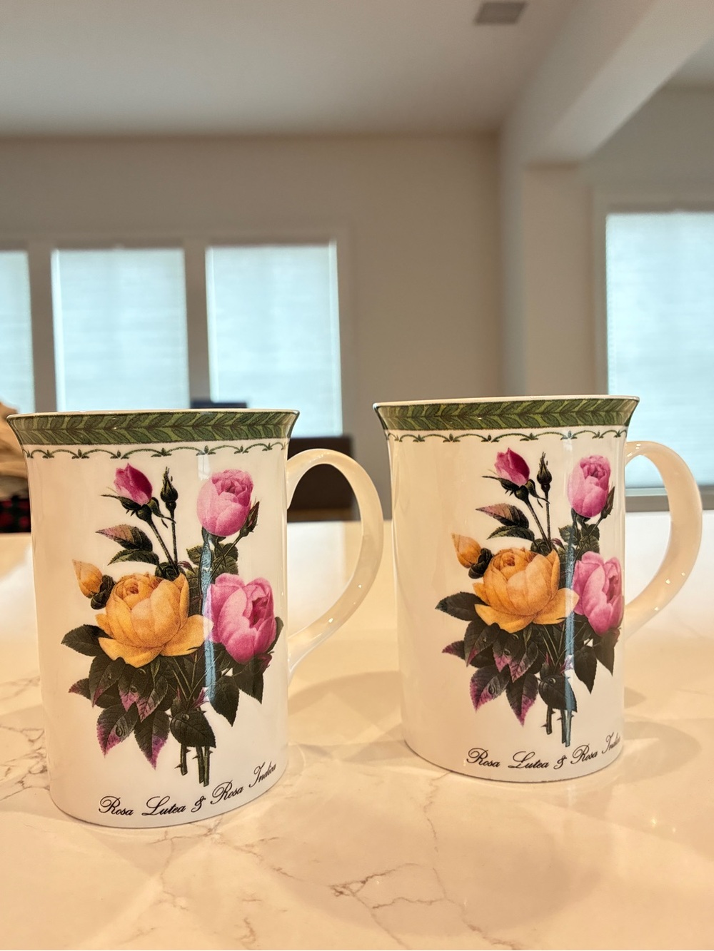 Pair of Churchill Fine Bone China Botanical Rose Mugs (Made in England)